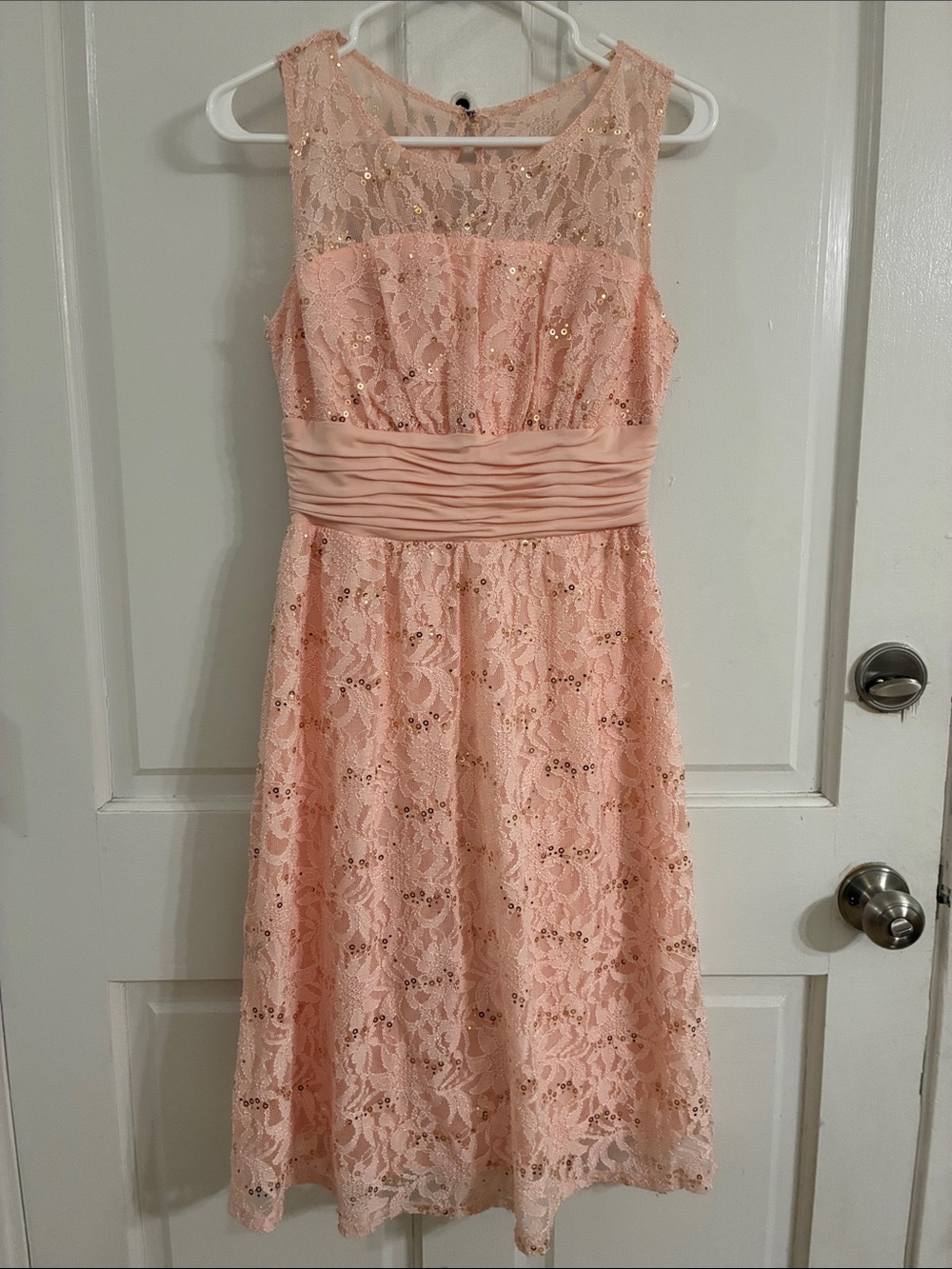 Sangria Blush Pink Lace Sequin A-Line Dress
